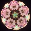 Cherry Blossom